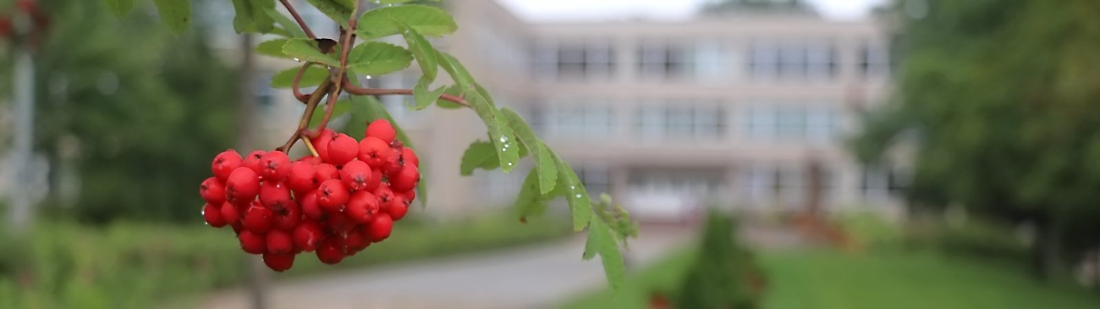 6a ir 6c klasių edukacinė kelionė į Stokholmą