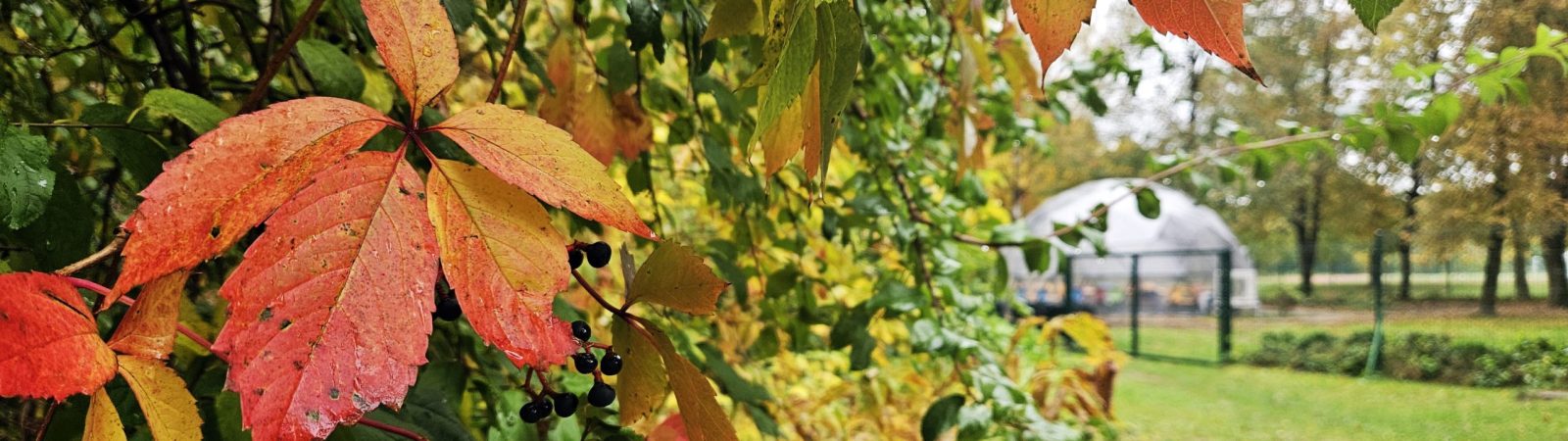 6a ir 6c klasių edukacinė kelionė į Stokholmą