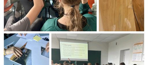 Integruota dailės-matematikos pamoka VESK centre