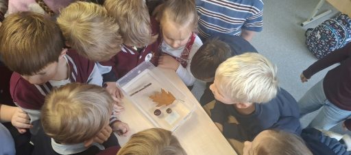 Ruduo – atradimų laboratorija!