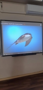 276987818 510763083752513 170508848662099620 n