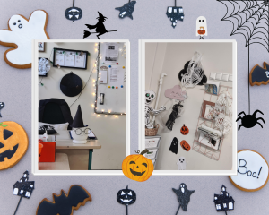 8c-boo-12