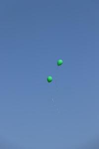 IMG 0604