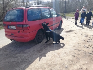 IMG 20230403 112233