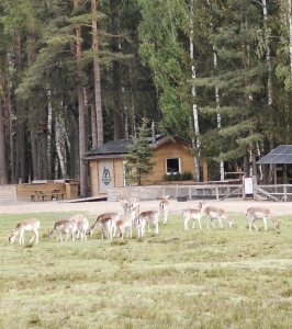 IMG 20250515 143024