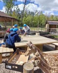 IMG 20250515 145014