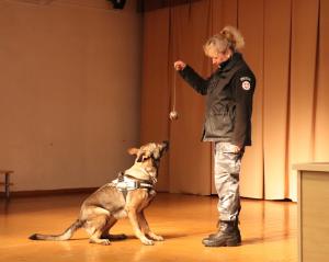 IMG 3079 (1)