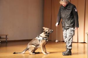 IMG 3081 (1)