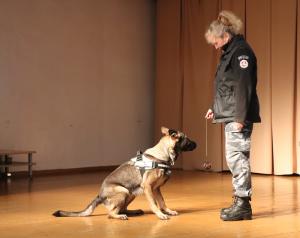 IMG 3082 (1)