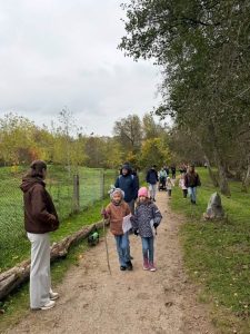 IMG 3239 (1) (1)