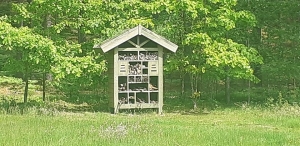 Ignalina-12