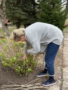 Image-1