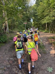 zygiz-09-05-14